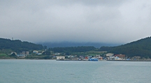 [전남/진도] 새때들을 보듬는 어머니의 섬, 조도(鳥島) 